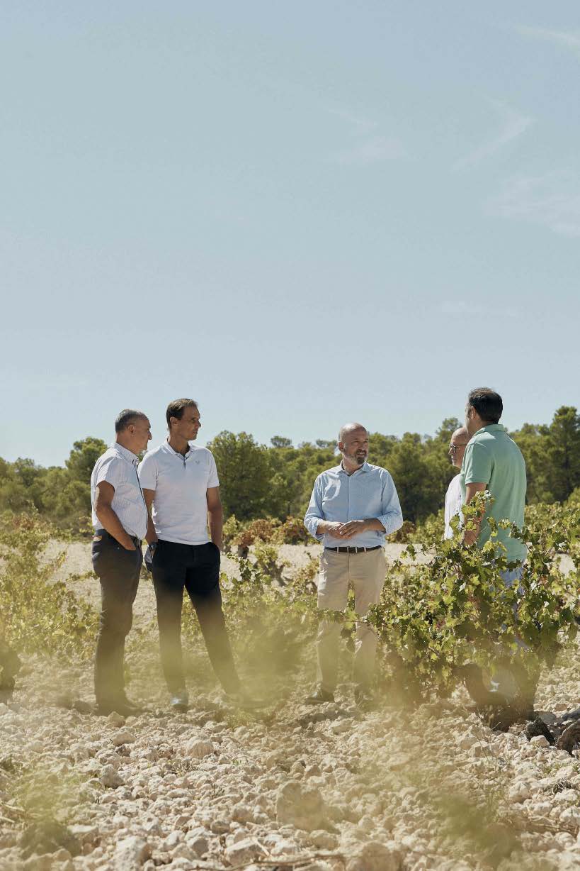 Fundadores en el viñedo